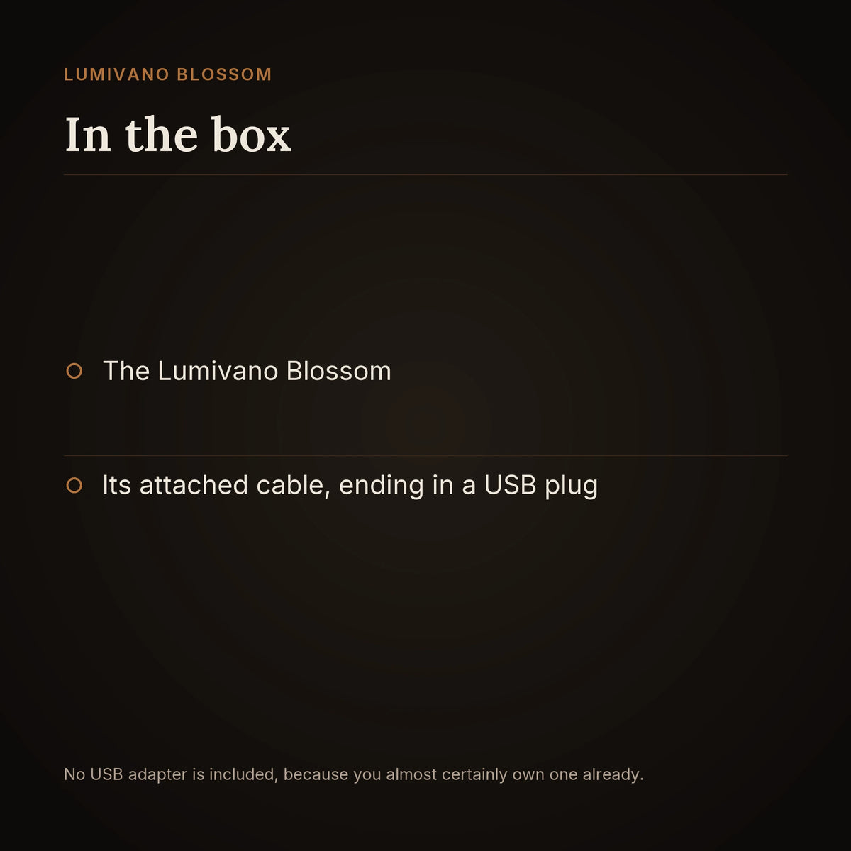 An in-the-box card on the dark brand ground: the Lumivano Blossom and its attached cable ending in a USB plug, with a note that no USB adapter is included.